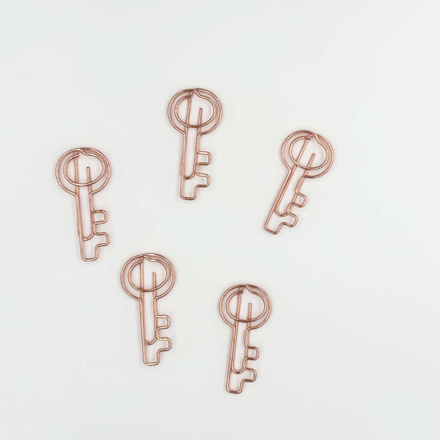 Key Paper Clips 5 Pieces