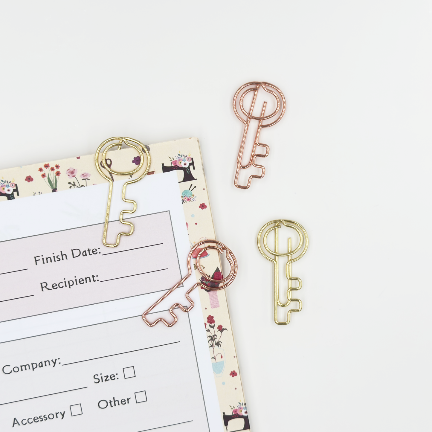 Key Paper Clips 5 Pieces