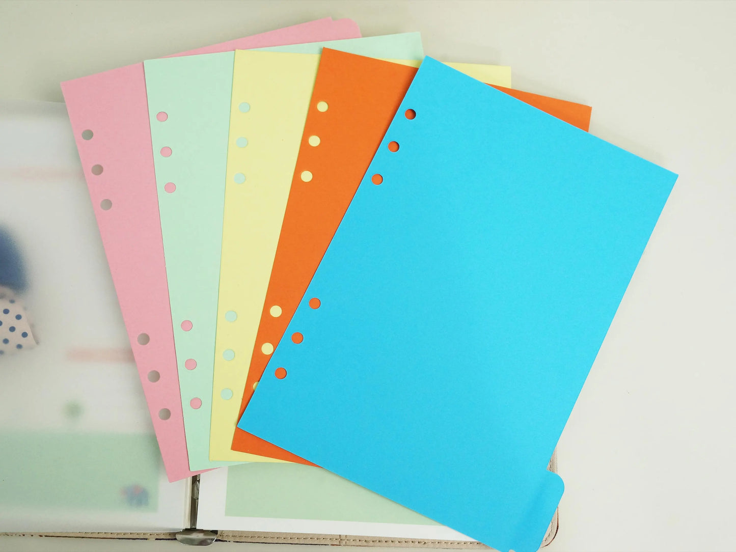 5 Tabs Color Dividers
