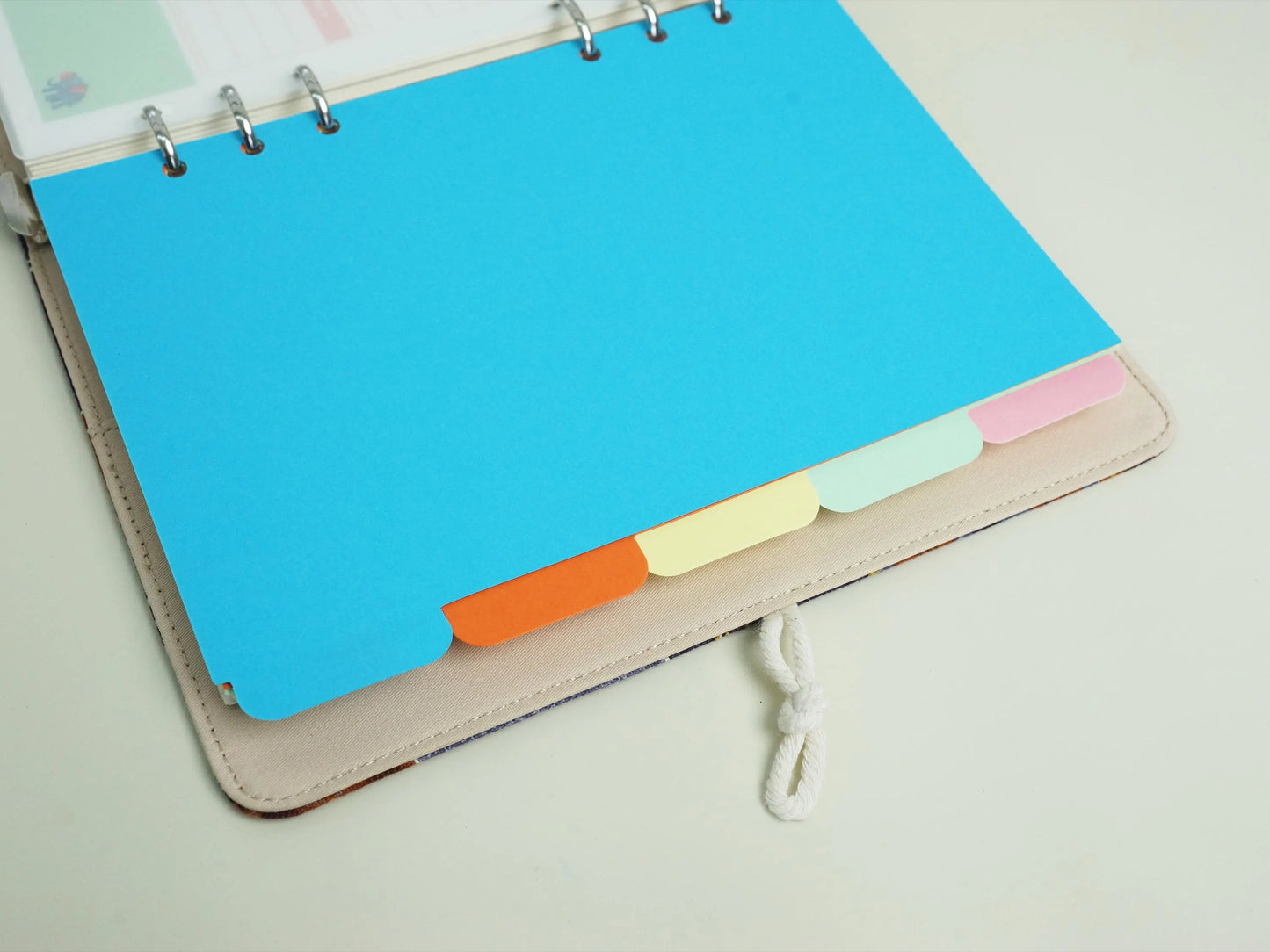 5 Tabs Color Dividers